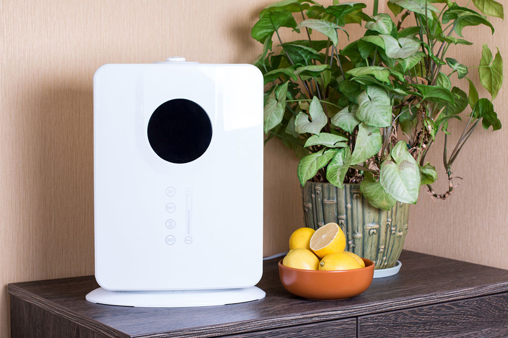 4 best air purifiers in the market right now