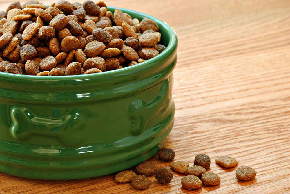 10 Exciting Dog Food Deals to Expect During Black Friday 2023